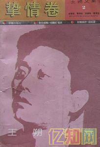 王朔作品集