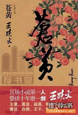 近二十年來(lái)值得關(guān)注的官場(chǎng)小說(shuō)