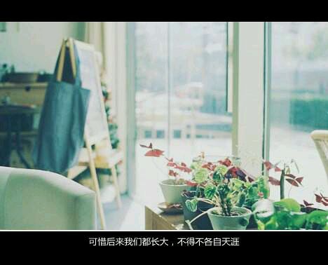 《陪你到世界終結(jié)》-文藝小清新的書籍推薦