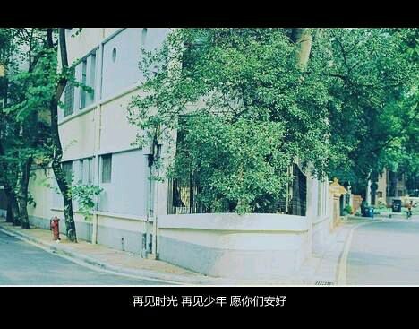 《茶花女》-文藝小清新的書籍推薦