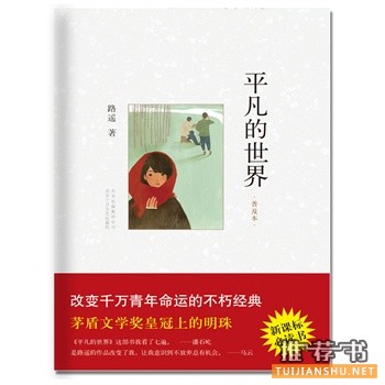 平凡的世界(普及本)