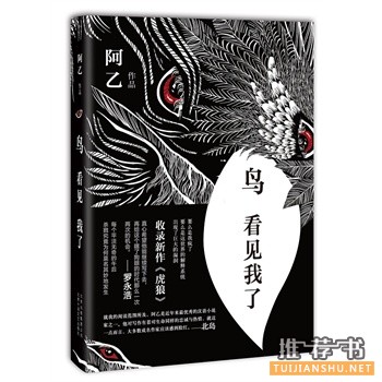 鳥,看見我了