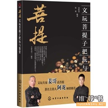 文玩菩提子把玩與鑒賞