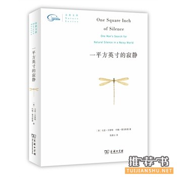 一平方英寸的寂靜