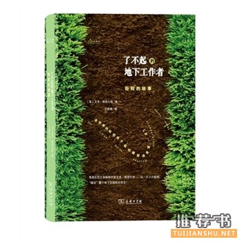 了不起的地下工作者:蚯蚓的故事