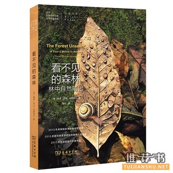 看不見的森林