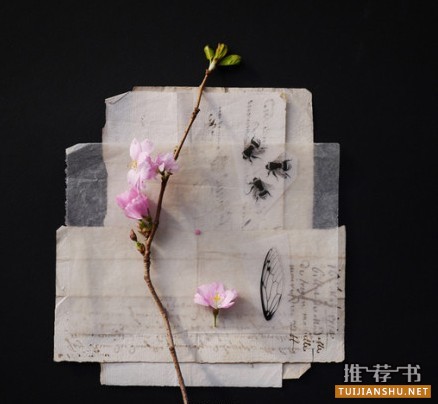 讓你沉靜的8本隨筆