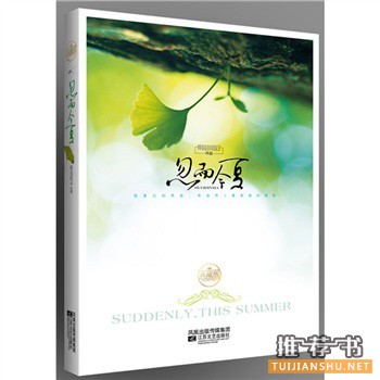 青春校園書(shū)籍:《忽而今夏》