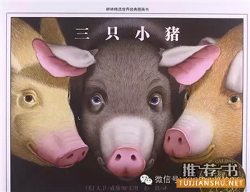 16本國內外孩子最常讀的書(4-7歲左右)