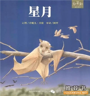 16本國內外孩子最常讀的書(4-7歲左右)