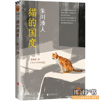 貓的國(guó)度