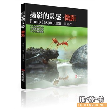 攝影的靈感·微距