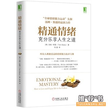 精通情緒