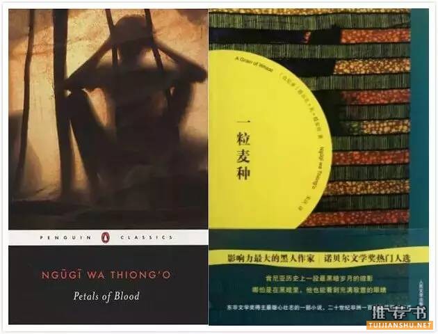 2015年諾貝爾文學(xué)獎 參賽者代表著書單推薦