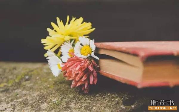 寒假來(lái)臨|重點(diǎn)中學(xué)語(yǔ)文老師推薦了這50本書