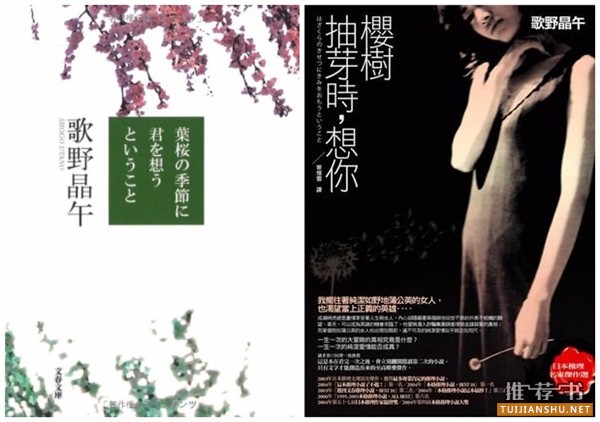 20部日本人最愛的推理小說推薦