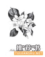 2017最值得期待的20本好書:十家出版社聯(lián)袂推薦了哪些書
