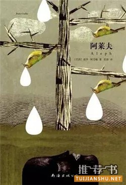 好看的短篇小說(shuō)集:10本不容錯(cuò)過(guò)的短篇小說(shuō)集