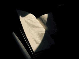 最適合高中學生寒假閱讀書單
