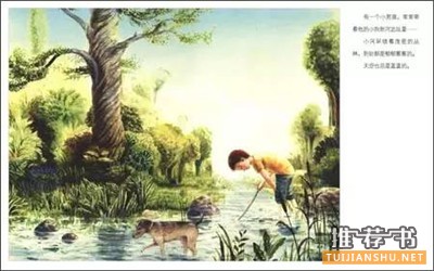 人物故事:適合1-3年級小學(xué)生看的繪本中的人物故事