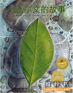 人物故事:適合1-3年級小學(xué)生看的繪本中的人物故事
