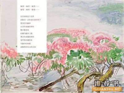 人物故事:適合1-3年級小學(xué)生看的繪本中的人物故事