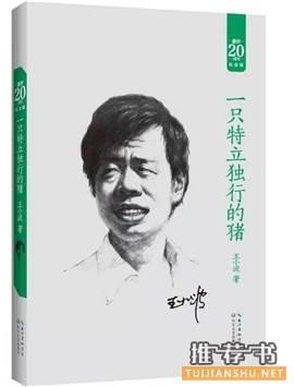 王小波作品:7本書讀懂“神一樣的存在”王小波