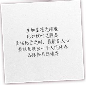 (dng)҂挦(du)҂xЩʲô