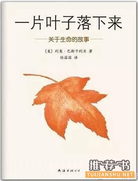 各類主題繪本推薦