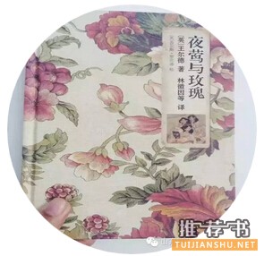 適合大學(xué)生看的10本書 讓我們溫柔地治愈你