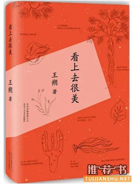 輕松搞笑小說(shuō)推薦:7本讓你笑到不能自理的書(shū)