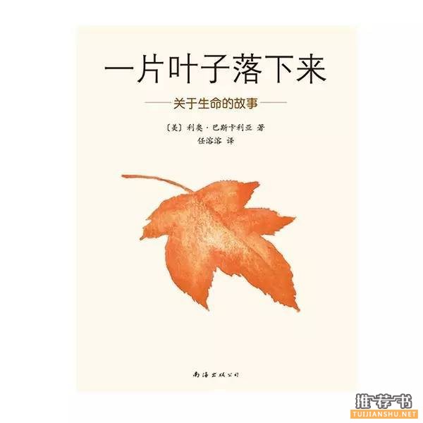 兒童書(shū)籍:這些加印超過(guò)20次的爆款童書(shū)