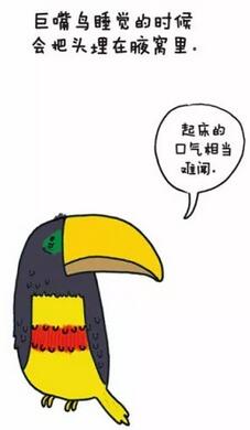 һC@Щ␞