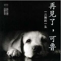 @ЩcP(gun)ĕ㶼^ǽһ