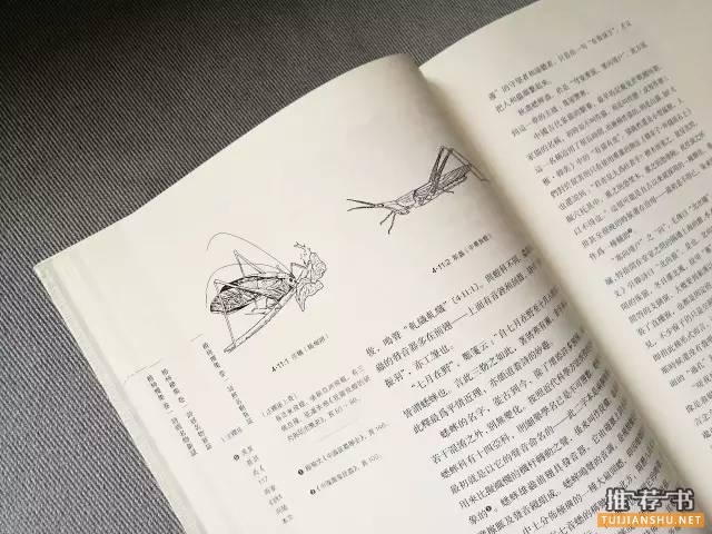 設(shè)計(jì)師眼中16年中國最美的10本書,17年你可以接著讀