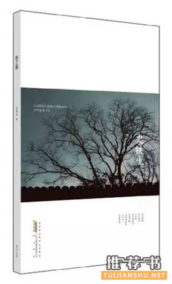 書單:慶幸自己讀過一遍的7本高分冷門小說