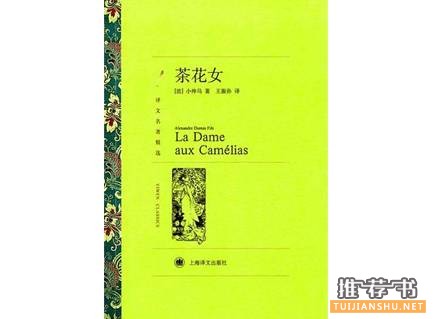 國(guó)內(nèi)外經(jīng)得起時(shí)間考驗(yàn)的愛(ài)情經(jīng)典小說(shuō)推薦