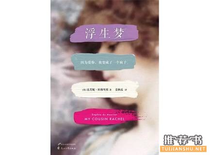國(guó)內(nèi)外經(jīng)得起時(shí)間考驗(yàn)的愛(ài)情經(jīng)典小說(shuō)推薦