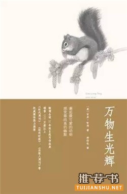 書單推薦:豆瓣讀書評(píng)分9分以上的7本好書推薦