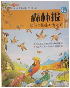 秋天來(lái)了 | 在繪本的世界中尋找秋天的童話