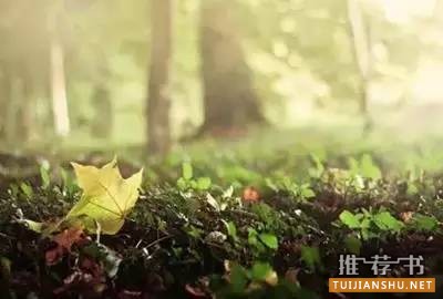 俞敏洪推薦給父母必讀的100本書