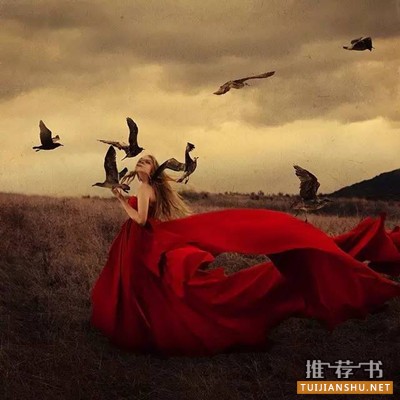 好看的懸疑小說:最高品質(zhì)的懸疑小說及電影推薦