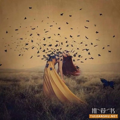 好看的懸疑小說:最高品質(zhì)的懸疑小說及電影推薦