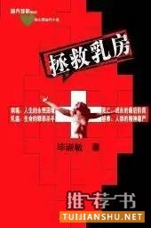 小說題材:一個典型一本小說