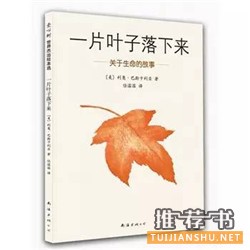 10本適合成年人閱讀的童話書推薦