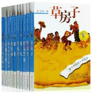 曹文軒純美小說系列簡介